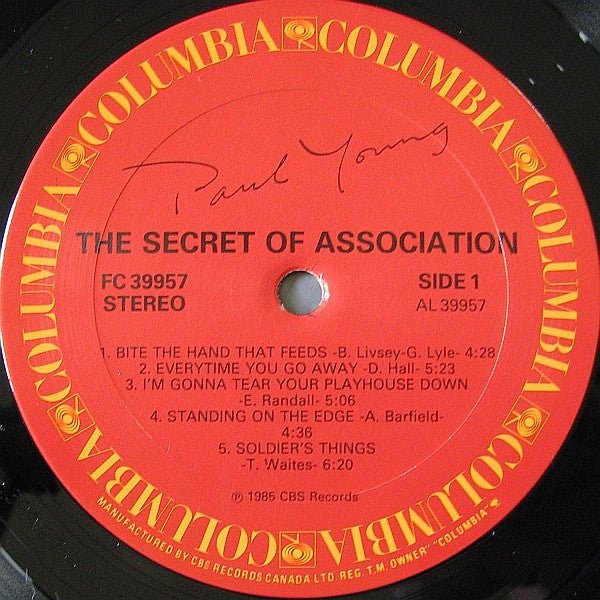 The Secret Of Association Paul Young