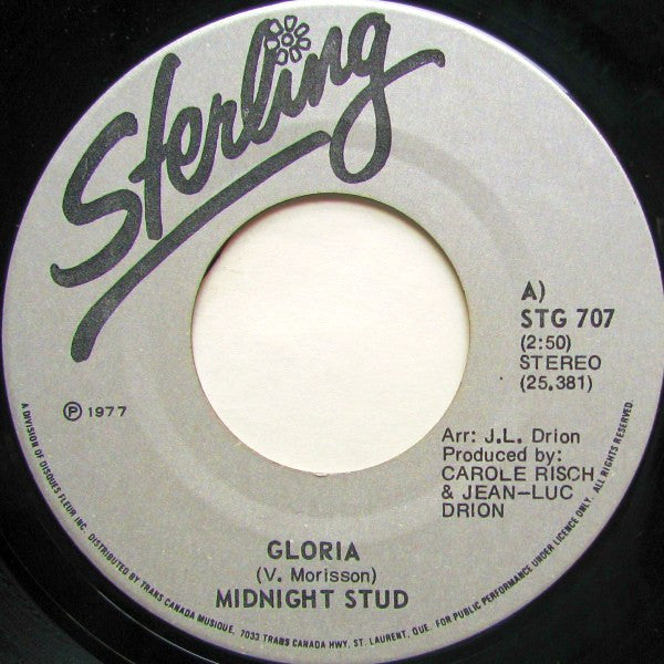 Gloria Midnight Stud