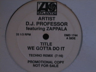 We Gotta Do It DJ Professor,Francesco Zappalà
