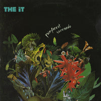 Rainforest Serenade by Rectangle Triangle album cover featuring vibrant jungle scene with lush greenery and exotic wildlife.