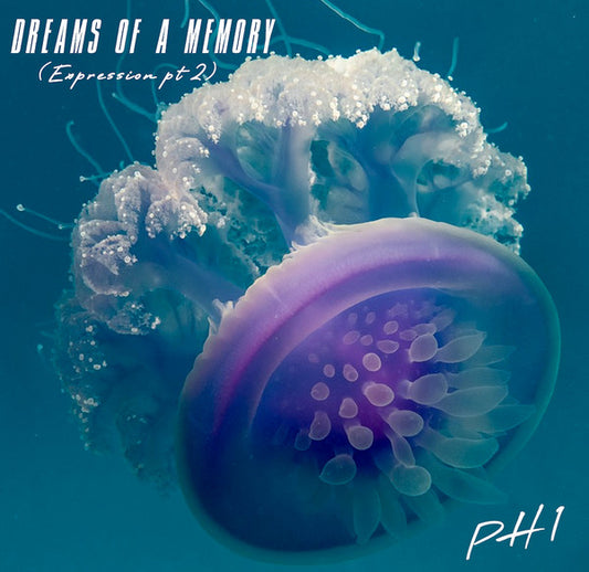 PH 1 (5) - Dreams Of A Memory