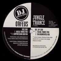Rectangle Triangle Jungle Trance album cover featuring vibrant jungle-themed artwork and bold typography.
