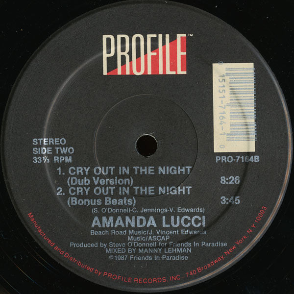 Cry Out In The Night Amanda Lucci