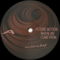 Future Motion - Where We Come From.., 12" vinyl, on InTheBagg (2024)