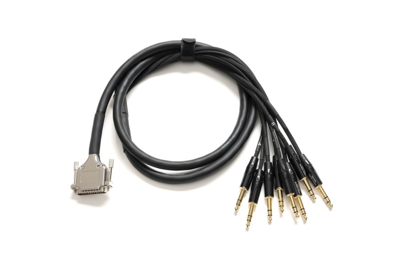 Warm Audio Premier 10’ DB25 To TRS Cable 