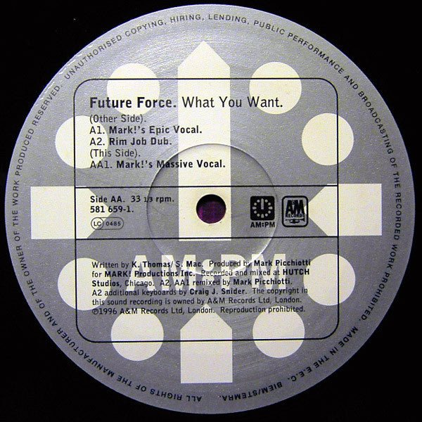 What You Want (Mark Picchiotti Mixes) Future Force