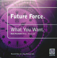 Rectangle Triangle vinyl record of "What You Want" by Mark Picchiotti Mixes, featuring the album cover art.