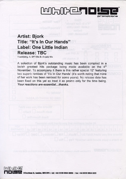 It's In Our Hands Björk