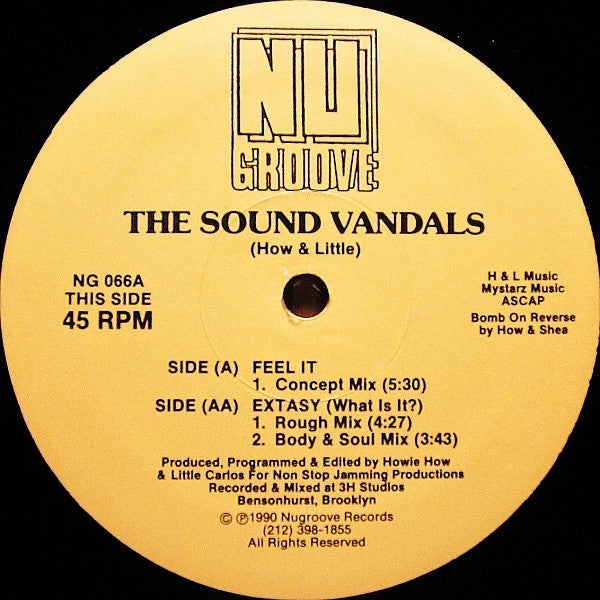 Feel It / Extasy (What Is It?) The Sound Vandals