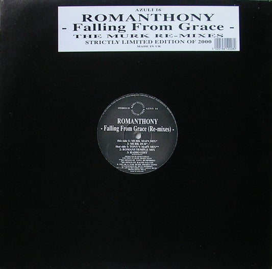 Falling From Grace (Re-Mixes)
