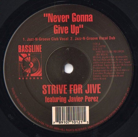 Never Gonna Give Up