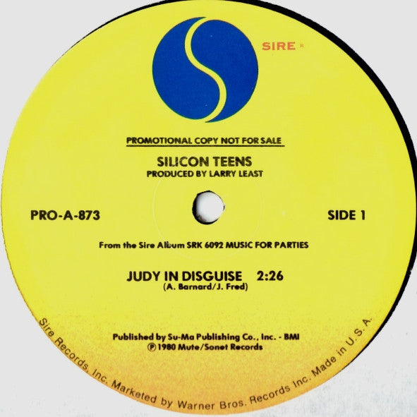 Judy In Disguise