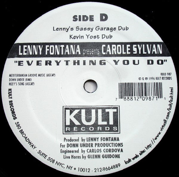Everything You Do Lenny Fontana,Carole Sylvan