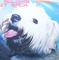 Rectangle Triangle's Sing It Back music album cover featuring vibrant abstract artwork and bold typography.