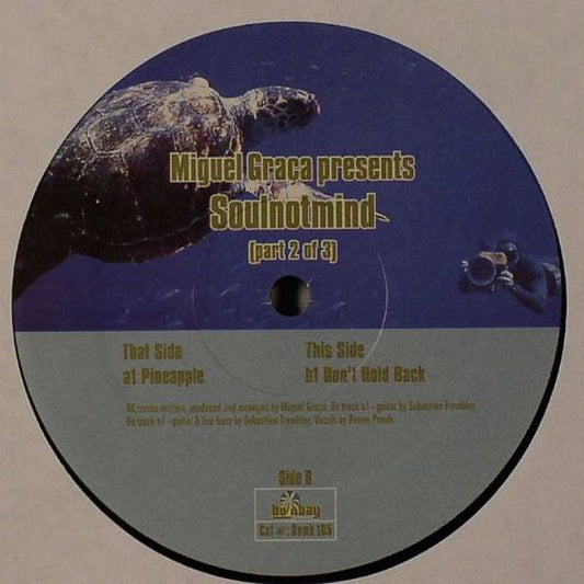 Pineapple / Don't Hold Back